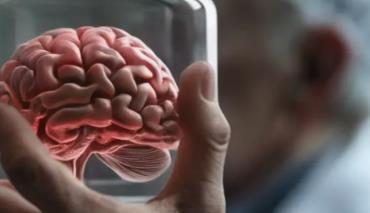 Ученые обнаружили связь между ферментом PGK1 и предотвращением болезни Паркинсона